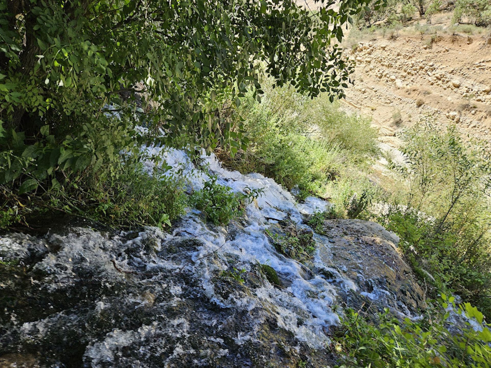 رودخانه و درختان تنگ دم اسب