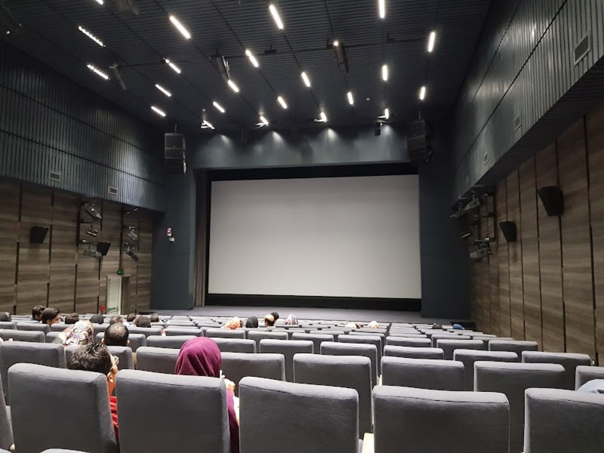 تماشاگران در سالن پردیس سینما چارسو