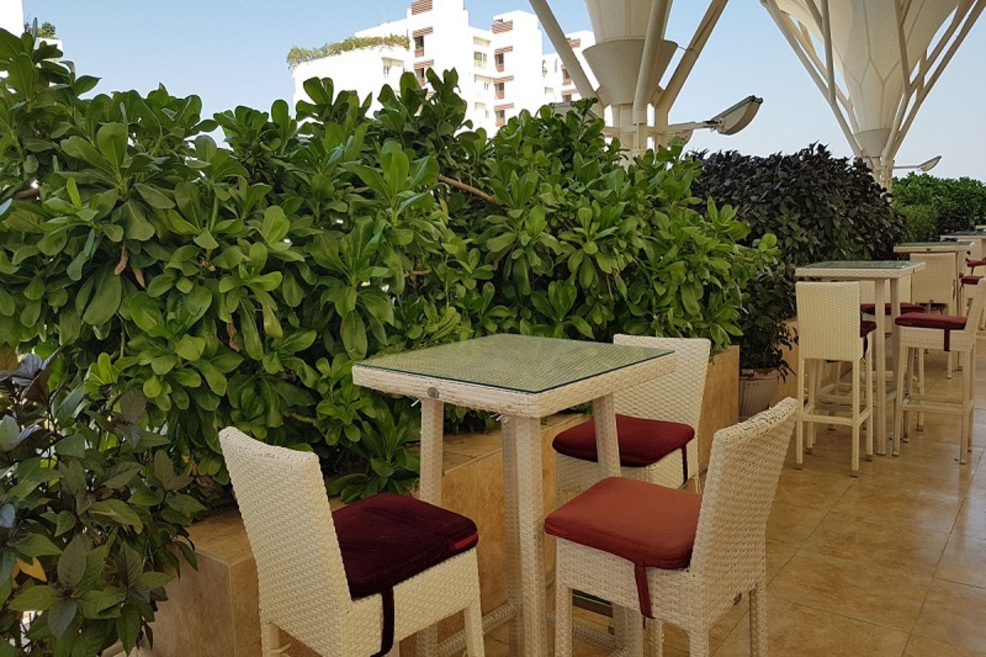 تراس فودکورت دامون کیش