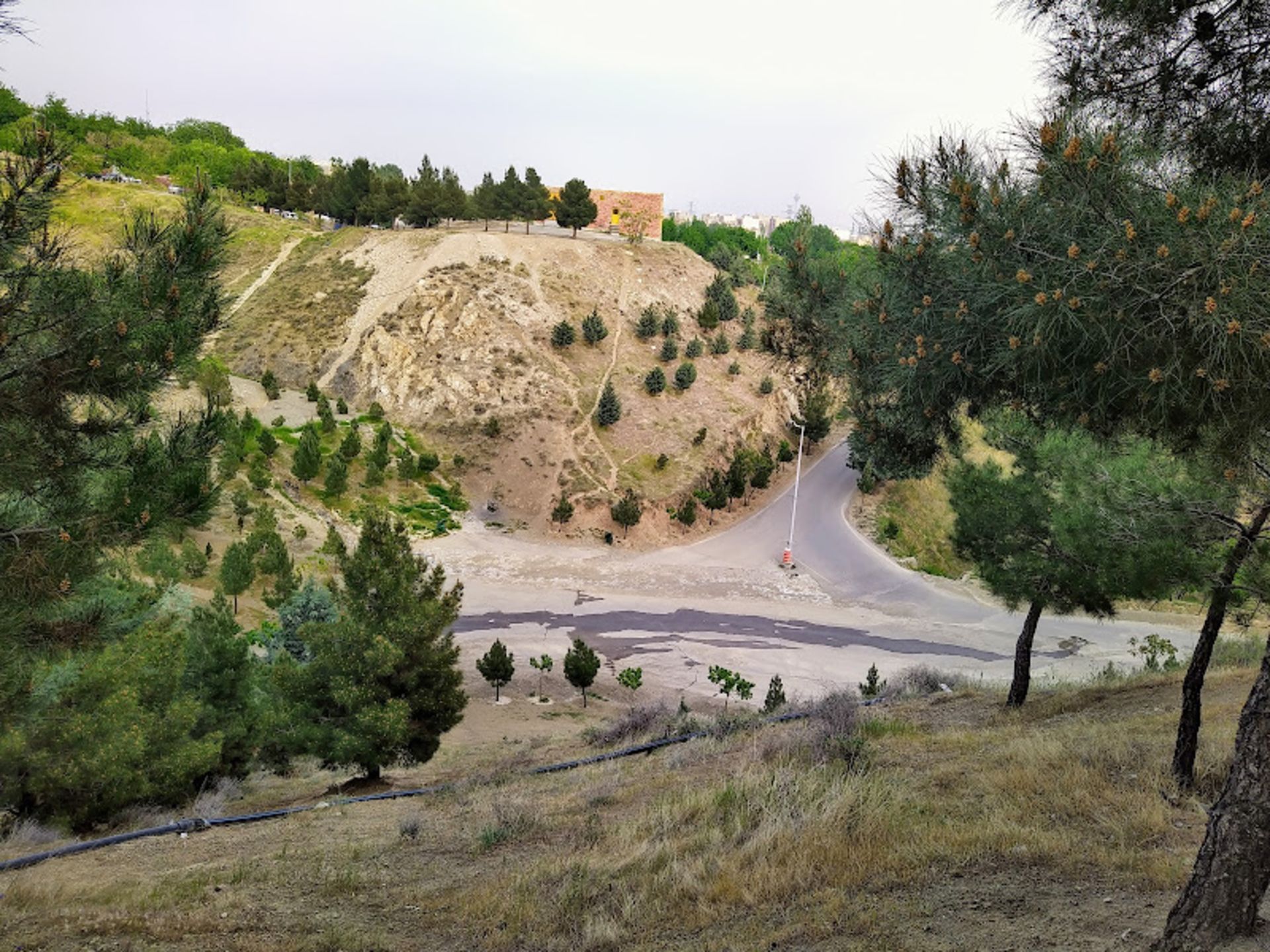 مسیر آسفالته پارک جنگلی کوهسار