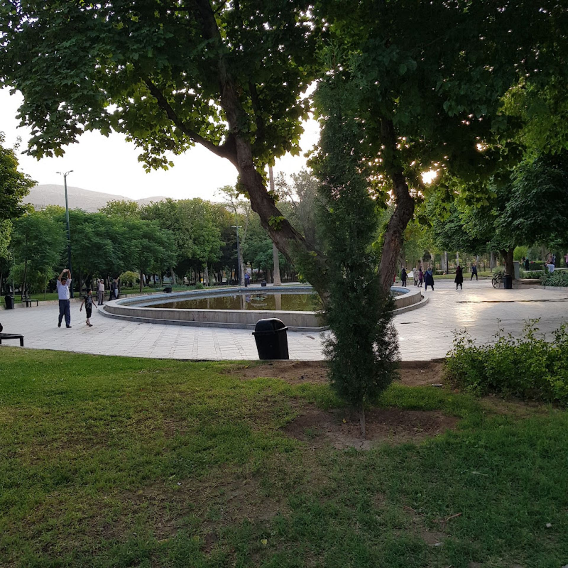 فضای سرسبز پارک آزادی شیراز