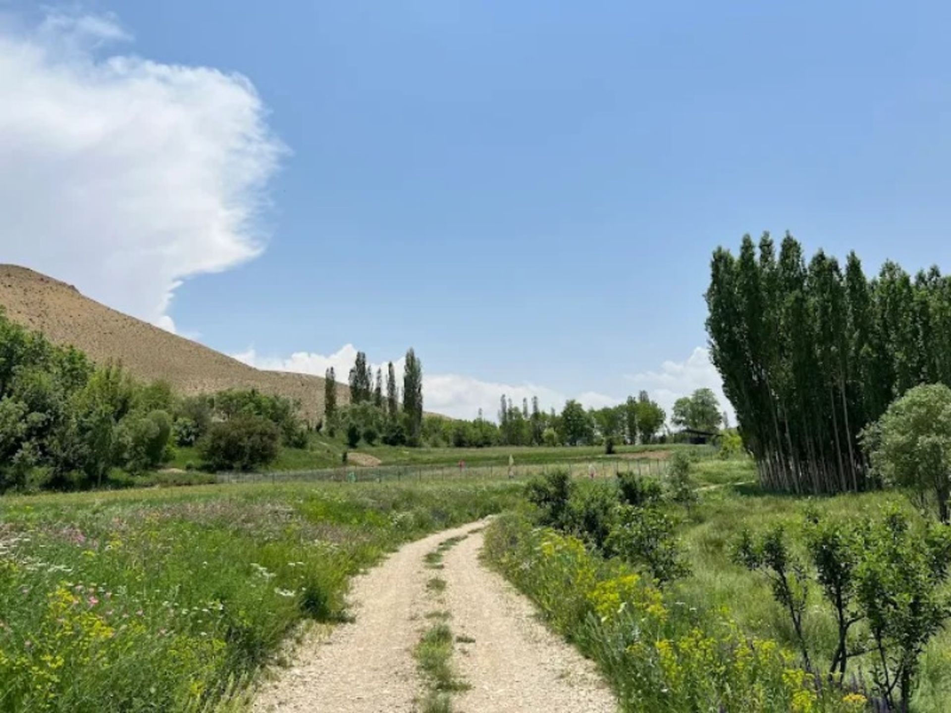 مسیر دسترسی به تنگه واشی