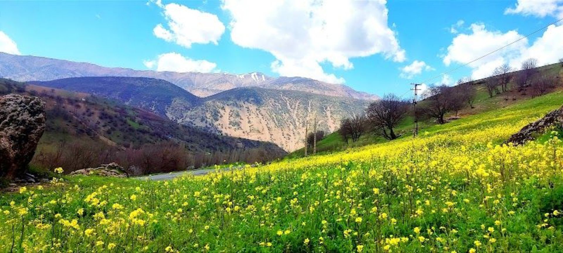 گلزارهای روستای سفید برگ کرمانشاه