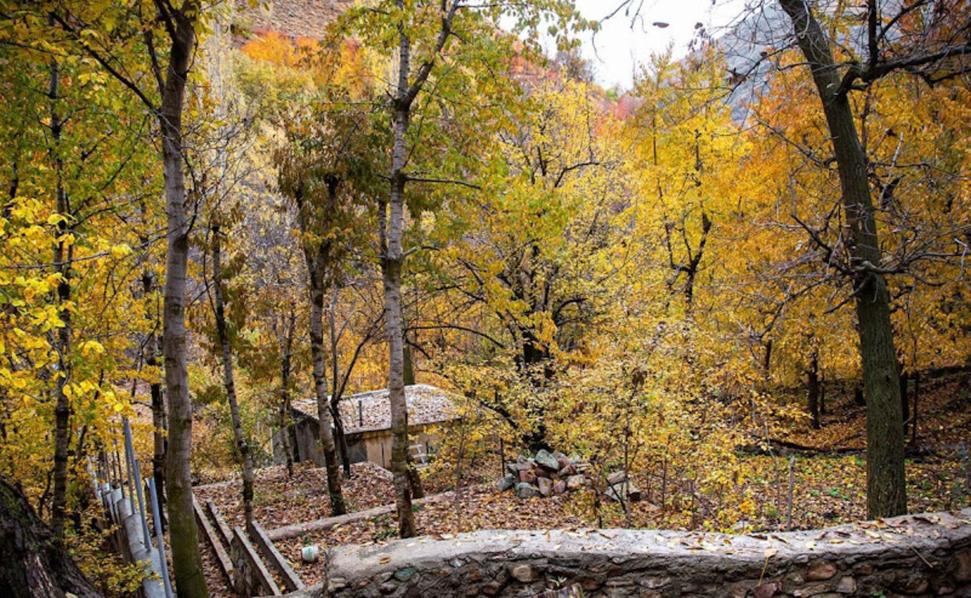 طبیعت پاییزی روستای آهار